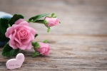 gift ideas for parents who live far away, last minute gifts for someone far away, 8 ways to send love to your mom on mother s day even when you are away from home, Microwave