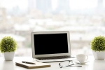 office, sickness, a plant in your office can help in preventing sick days says experts, Work place
