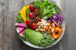 vegan, plant based diet, important factors to know before transitioning to a vegan lifestyle, Plant based diet vegan, plant based diet, important factors to know before transitioning to a vegan lifestyle, Plant based diet
