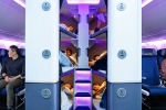 Air New Zealand, Air New Zealand Bunk Beds, air new zealand introduces bunk beds in economy flights, Economy Air New Zealand, Air New Zealand Bunk Beds, air new zealand introduces bunk beds in economy flights, Economy