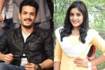 Vikram Kumar, Akhil Akkineni latest, akhil to romance niveda thomas, Niveda thomas Vikram Kumar, Akhil Akkineni latest, akhil to romance niveda thomas, Niveda thomas