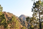 Kasauli videos, Kasauli tips, amazing things to do and see in kasauli, Love