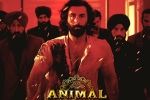 Animal new updates, Animal nominations, record breaking nominations for animal, Red chillies