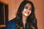 Anushka upcoming movie, Anushka next Telugu film, anushka back to shoot, Anushka shetty