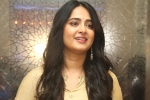 Anushka latest updates, Anushka latest news, anushka s next project updates, Anushka shetty