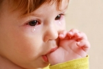 Watery eyes in Babies disease, Watery eyes in Babies new breaking, real causes does your baby have watery eyes, Eye disease Watery eyes in Babies disease, Watery eyes in Babies new breaking, real causes does your baby have watery eyes, Eye disease