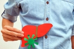 Liver Health test, Liver Health, basic tests for your liver health, Cancer Liver Health test, Liver Health, basic tests for your liver health, Cancer