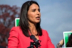 tulsi gabbard twitter, gabbard, being targeted for being a hindu claims tulsi gabbard, 2014 elections