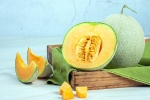 Muskmelon Seeds breaking, Muskmelon Seeds study benefits, health benefits of muskmelon seeds, Oestrogen Muskmelon Seeds breaking, Muskmelon Seeds study benefits, health benefits of muskmelon seeds, Oestrogen