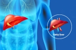 Fatty Liver Disease News new breaking, Fatty Liver Disease News latest, body organs that can be affected by fatty liver disease, News updates