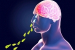Primary Amoebic Meningoencephalitis news, Kerala, brain eating amoeba in kerala why and how it spreads, Girl