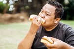 Bread for weightloss latest update, Bread for weightloss for health, will bread help in weightloss, Lose weight