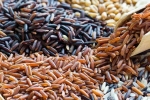 Brown Rice Vs Black Rice comparison, Brown Rice Vs Black Rice comparison, brown rice vs black rice which one is healthier, Blood sugar control