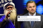 isha foundation, cauvery calling donations, civil society groups ask dicaprio to withdraw support for cauvery calling, Nawazuddin
