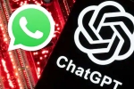 ChatGPT on WhatsApp 2026, ChatGPT on WhatsApp major update, no more chatgpt on whatsapp from january 2026, Perplexity ChatGPT on WhatsApp 2026, ChatGPT on WhatsApp major update, no more chatgpt on whatsapp from january 2026, Perplexity