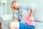 Chronic Back Pain medication, Chronic Back Pain latest, simple habits to prevent and manage chronic back pain, Bridge