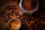 use coffee for hair growth, coffee and egg hair mask, how to use coffee for hair growth, Testosterone use coffee for hair growth, coffee and egg hair mask, how to use coffee for hair growth, Testosterone