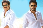 Bangarraju collections, Kalyan Krishna, ten days worldwide collections of bangarraju, Kalyan krishna