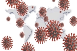 Indian coronavirus variant updates, Indian variant, who renames the coronavirus variants of different countries, Alphabet