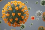 Delta plus severity, Delta plus latest, all you need to know about the new delta plus variant of coronavirus, Delta plus