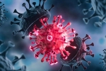USA Coronavirus breaking news, USA Coronavirus, delta variant makes usa tensed again, Astrazeneca vaccine