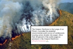 Amazon rainforest fires, amazon rainforest ecosystem, in pictures devastating fires in amazon rainforest visible from space, Npt