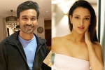 Triptii Dimri and Dhanush, Triptii Dimri breaking, dhanush to romance animal actress triptii dimri, Love story