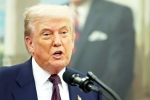 Donald Trump India Ambassador, Sergio Gor updates, donald trump names close political aide as india ambassador, Fun