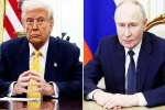 Vladimir Putin, Donald Trump and Vladimir Putin, all about donald trump and vladimir putin s call, Ukraine