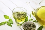 Green Tea regular usage, Green Tea latest breaking, what happens when you drink green tea every day, Green tea Green Tea regular usage, Green Tea latest breaking, what happens when you drink green tea every day, Green tea