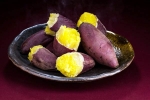 Sweet Potato health benefits, Sweet Potato breaking, what happens if you eat sweet potato everyday, Latest news
