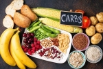 Too Many Carbs latest update, Too Many Carbs breaking problems, what happens if you eat too many carbs, Communicate