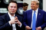 Elon Musk and Donald Trump campaign, Elon Musk and Donald Trump budget, elon musk s big bet on donald trump, Federal judge