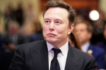 Elon Musk Epstein Files news, Elon Musk Epstein Files news, elon musk named in new epstein files, Bill gates