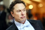 Elon Musk India visit breaking updates, Elon Musk India visit latest breaking, elon musk s india visit delayed, India visit Elon Musk India visit breaking updates, Elon Musk India visit latest breaking, elon musk s india visit delayed, India visit
