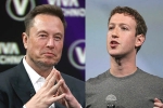 Elon Musk, Mark Zuckerberg, elon musk vs mark zuckerberg rivalry, Walrus