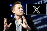 X subscription paid, X subscription breaking news, elon musk announces that x would be paid for everyone, Revenue