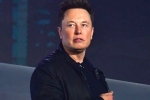 Elon Musk latest, Elon Musk latest update, elon musk talks about cage fight again, Snacks