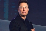 X, Elon Musk, elon musk talks about cage fight again, Pizza