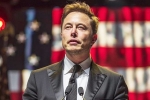 Musk intelligence, Musk reply on social media, is elon musk in the trump cabinet, Mindset