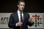 company, company, facebook ceo refuses to quit amid pressure from investors, Mark zuckeberg