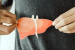 Fatty Liver symptoms, Fatty Liver treatment, fatty liver an alarming rise among children, Children