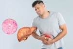 Fatty Liver 2025, Fatty Liver symptoms, fatty liver can be reversed in just one month, Yoga