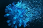 Coronavirus, Gene Variant, researchers identify gene variant that protects against coronavirus, Jennifer