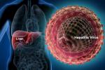 Hepatitis C, Hepatitis C virus, good news india may soon get treatment for hepatitis c, Lower breast cancer risk