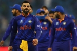 T20 World Cup 2021, Afghanistan Vs New Zealand news, team india out of t20 world cup, Abu dhabi