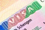 Schengen visa for Indians 2024, Schengen visa for Indians new rules, indians can now get five year multi entry schengen visa, Work