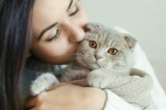 cats pets, International Cat Day, international cat day reasons why being a cat owner is good for health, Human health
