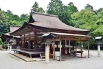 Japan Viral Mikami Shrine pictures, Japan Viral Mikami Shrine viral, why are travellers flocking to japan s viral mikami shrine, World