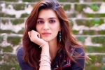 Neetu Kapoor, Entertainment, kriti sanon tested positive for covid 19, Neetu kapoor